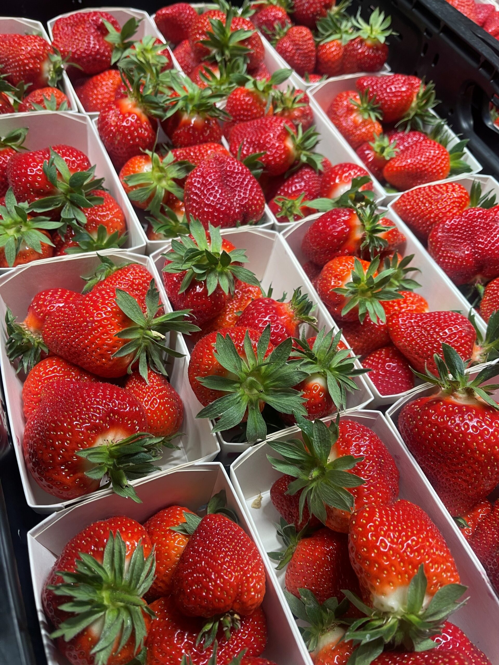 Erdbeeren Schweiz Gebinde mit 250g Schalen