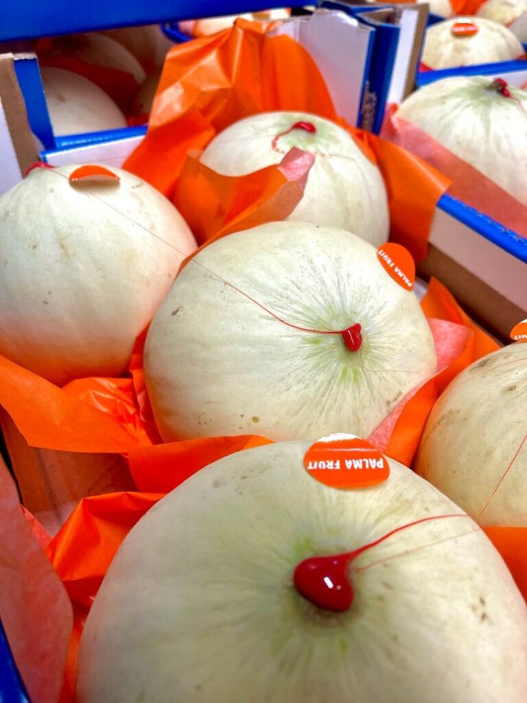 Jolly Melonen - Bild aus dem Zürcher Engrosmarkt