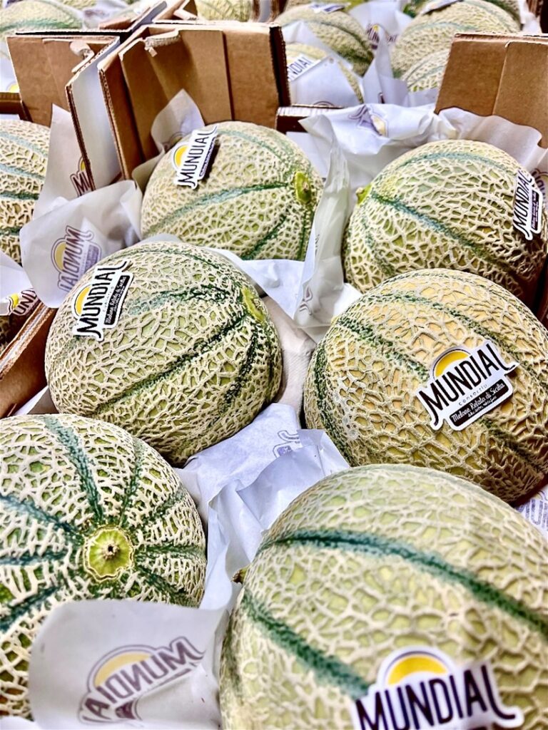 Erste Netzmelonen aus Italien