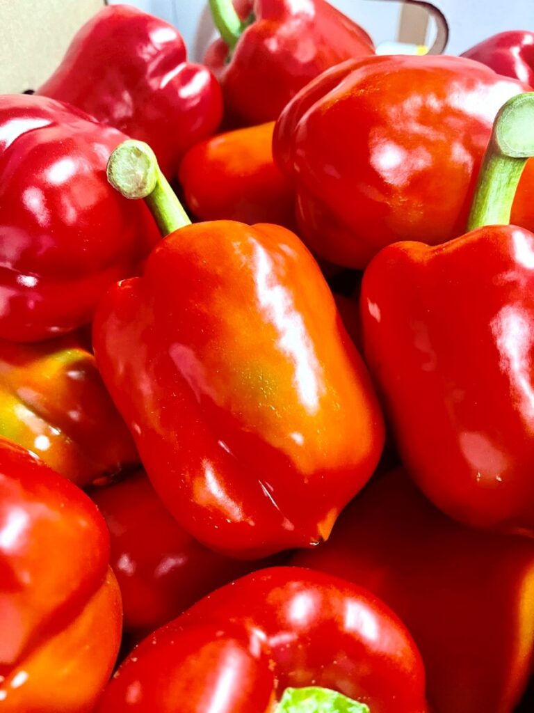 Peperoni rot Niederlande