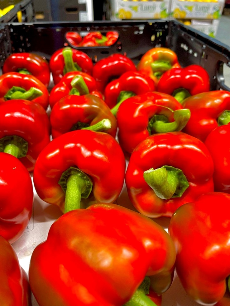 Peperoni rot Schweiz