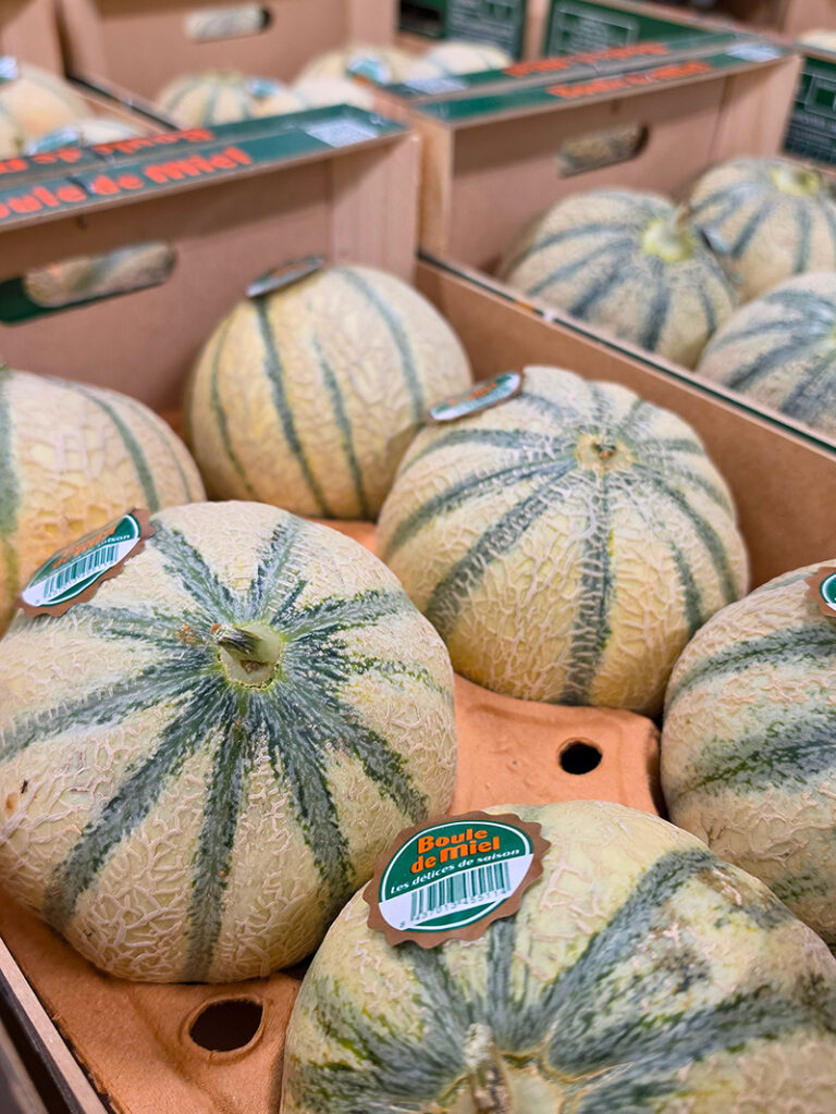 Charentais Melone