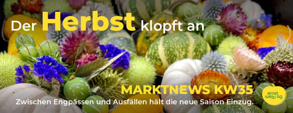Marktnews KW35 2026