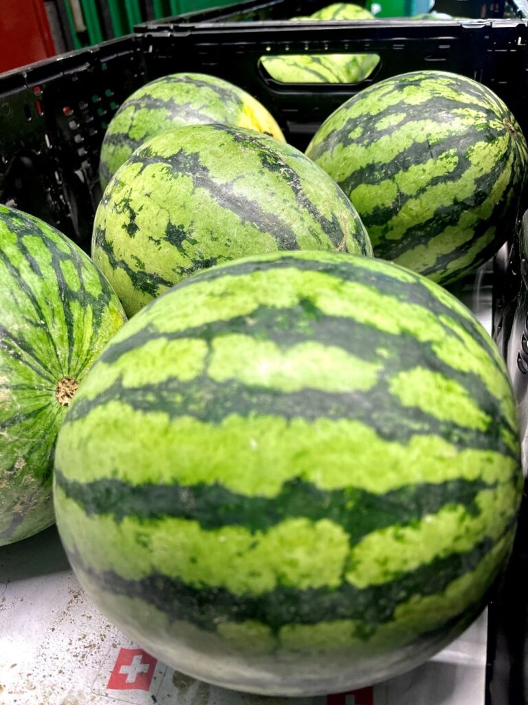 Wassermelonen Schweiz