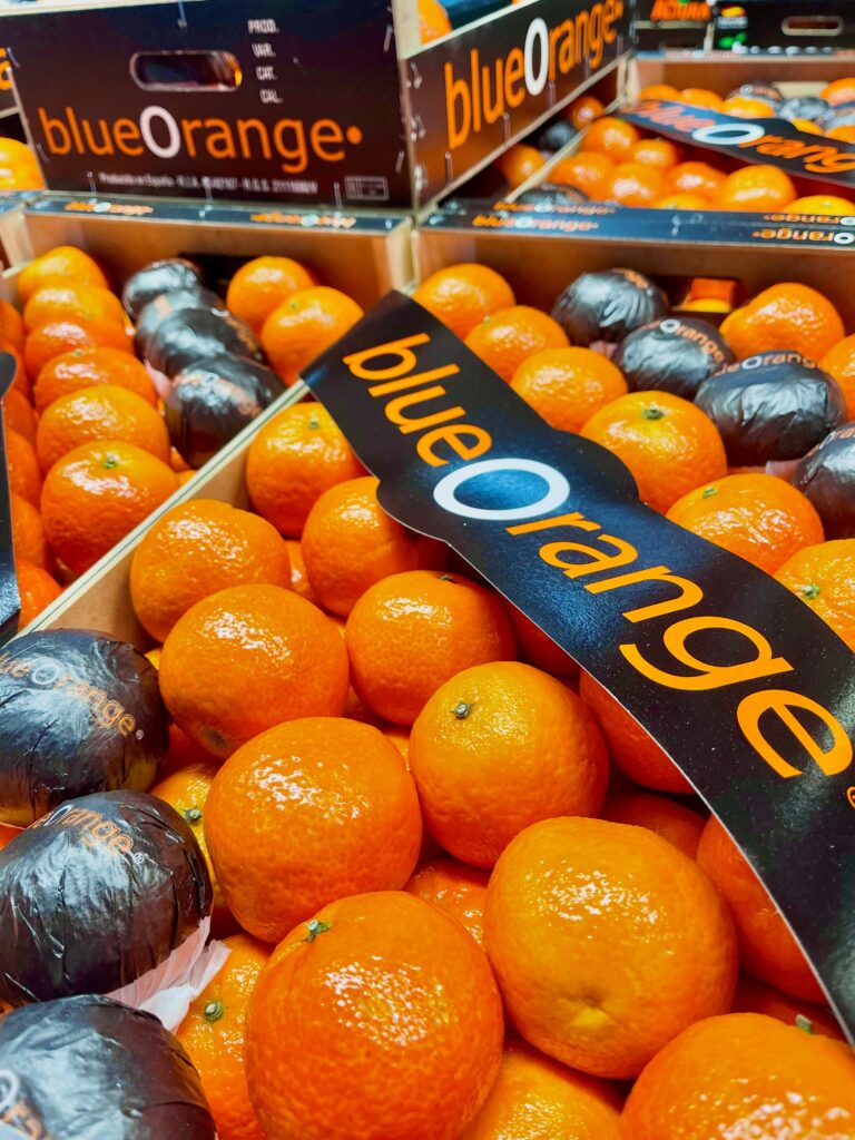 Clementinen blue Orange Spanien